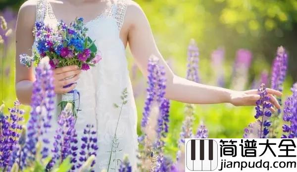 爱的奉献钢琴谱_韦唯_人人献出一点爱_世界将变成美好的人间