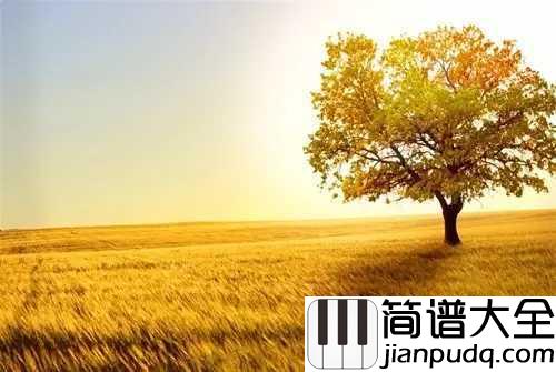 好大一棵树钢琴谱_那英_唱得天地动情,句句贴心,满满的青春回忆