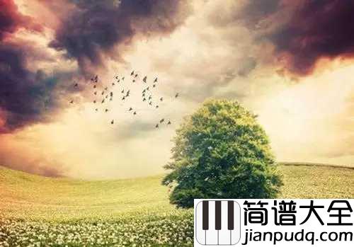 好大一棵树钢琴谱_那英_唱得天地动情,句句贴心,满满的青春回忆