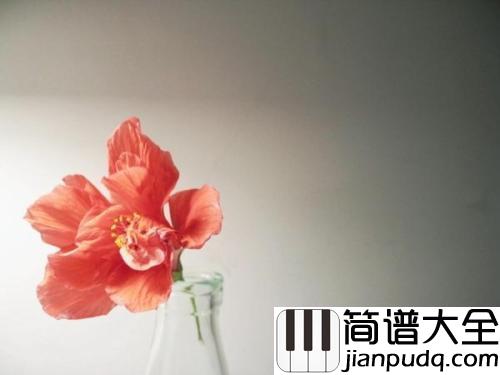 白山茶简谱_阿泱_你好好照顾她,今后我四海为家
