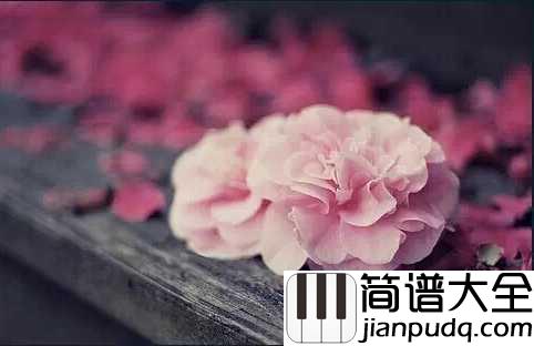 花儿落了简谱_林海_荣华花间露,富贵草上霜生不带来,死不带去
