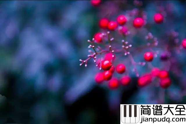 相思简谱_毛阿敏_最肯忘却古人诗,最不屑一顾是相思