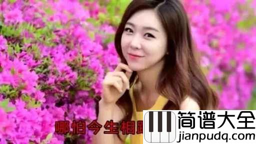 最牵挂的你简谱_风语_回忆往昔,我的身边没有你