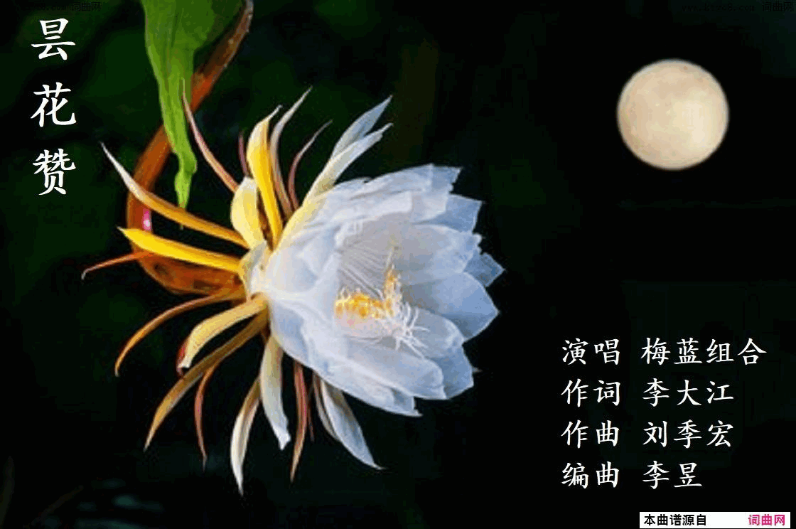 昙花赞梅蓝组合唱_刘季宏曲_李昱编曲简谱_梅蓝组合演唱_李大江/刘季宏词曲