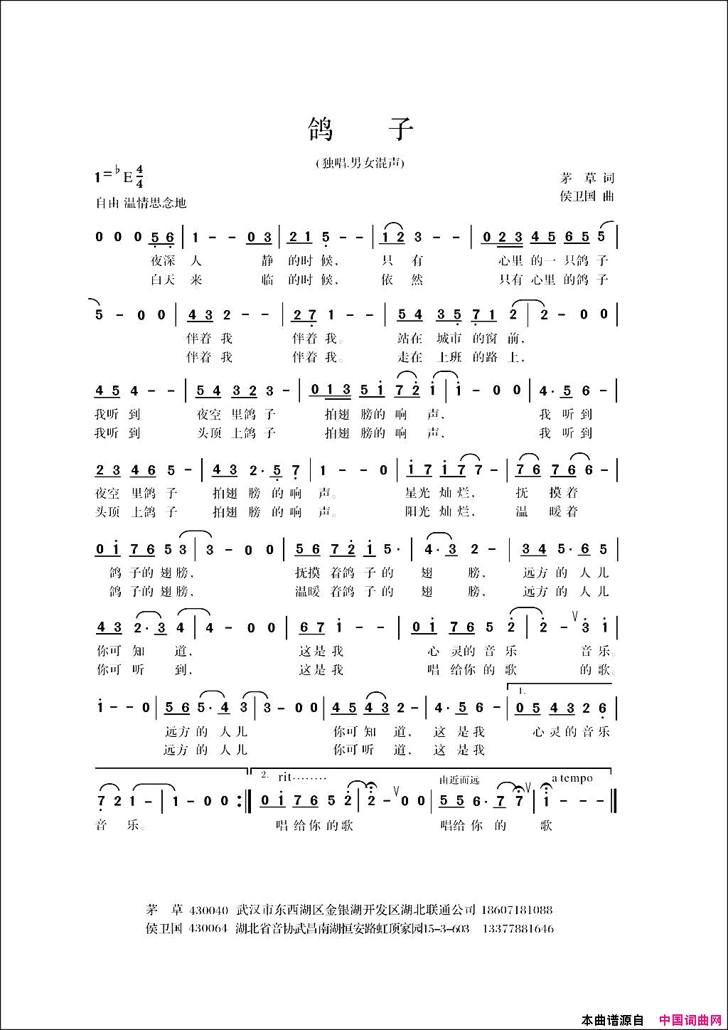 鸽子现代爱情通俗歌曲简谱