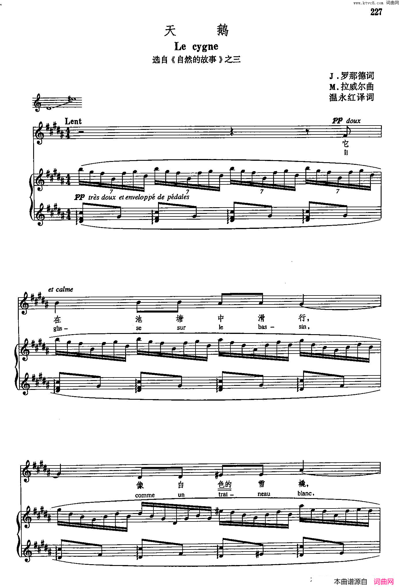 声乐教学曲库5_49天鹅正谱选自_自然的故事_之三简谱