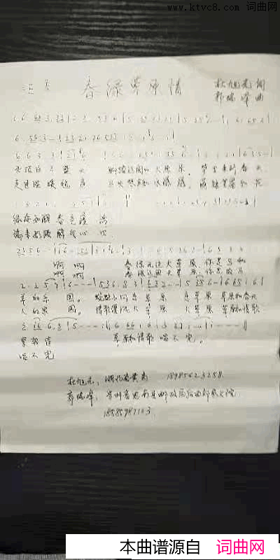 春绿草原情简谱