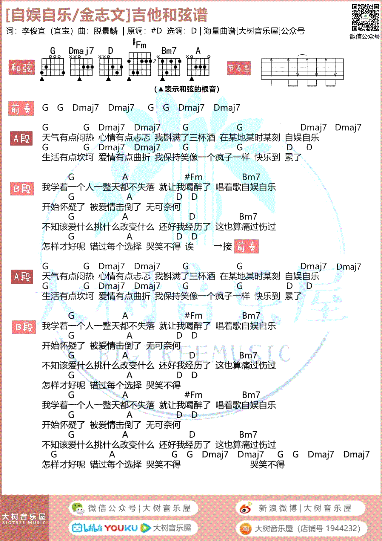 自娱自乐吉他谱_金志文_D调指法_和弦弹唱谱