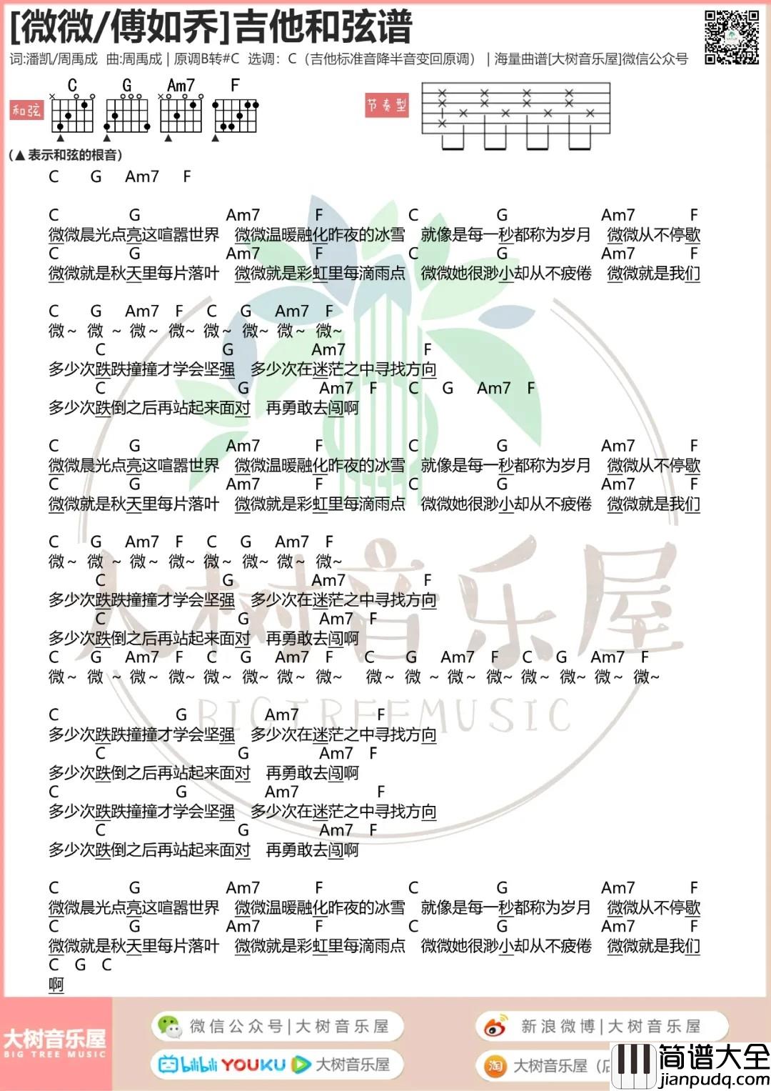 微微，青春有你2吉他谱_C调和弦谱_大树音乐屋编配_傅如乔