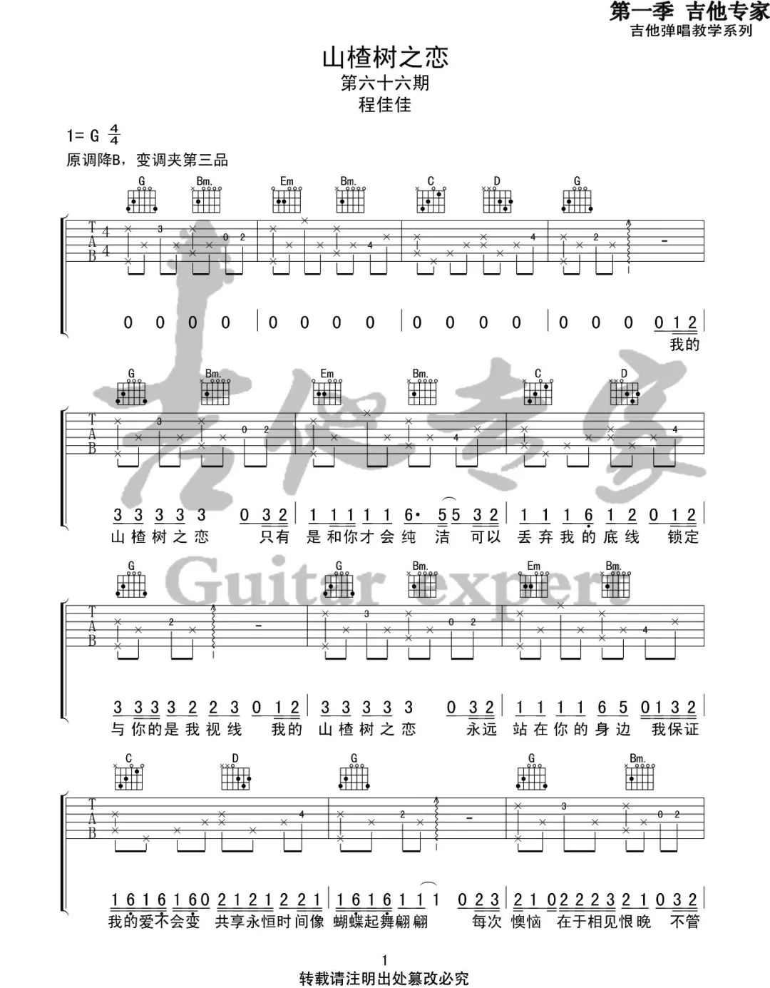 山楂树之恋吉他谱_大能人/程佳佳_G调原版